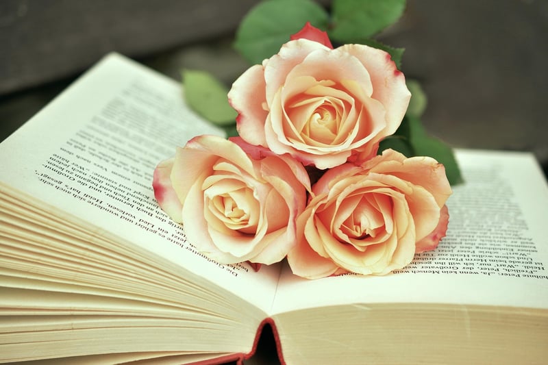 Enigmatic Book